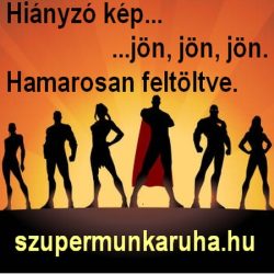   GILDAN (GI85800)  rövid ujjú férfi galléros póló,/fésült pamut oldalvarrott, 100% Pamut